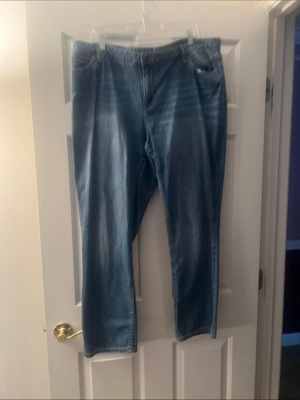 J. Jill Light Blue Straight Leg Jeans